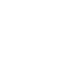 siemens.png